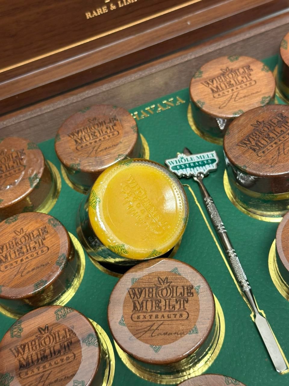 Whole Melts Havana Editions Whole Melts Havana Edition