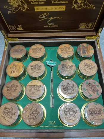 Whole Melts Havana Edition | Premium Live Resin Sugar