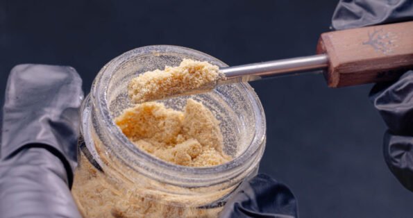 Full Melt vs Half Melt Hash